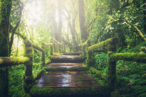 Hiking in Wales